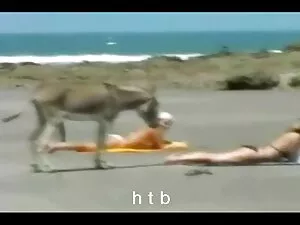 तंग सेक्सी कहानी लिख ...