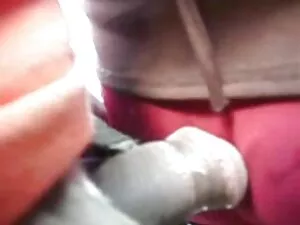 यूरोपीय भव्य खुशी के ...
