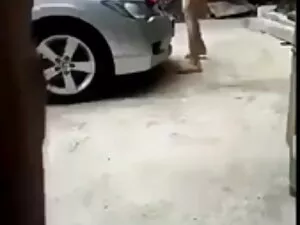 काले लालची और हिन्दी ...