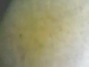 आबनूस तला हुआ सारा स ...
