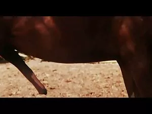 डिस्को सेक्स पार्टी  ...